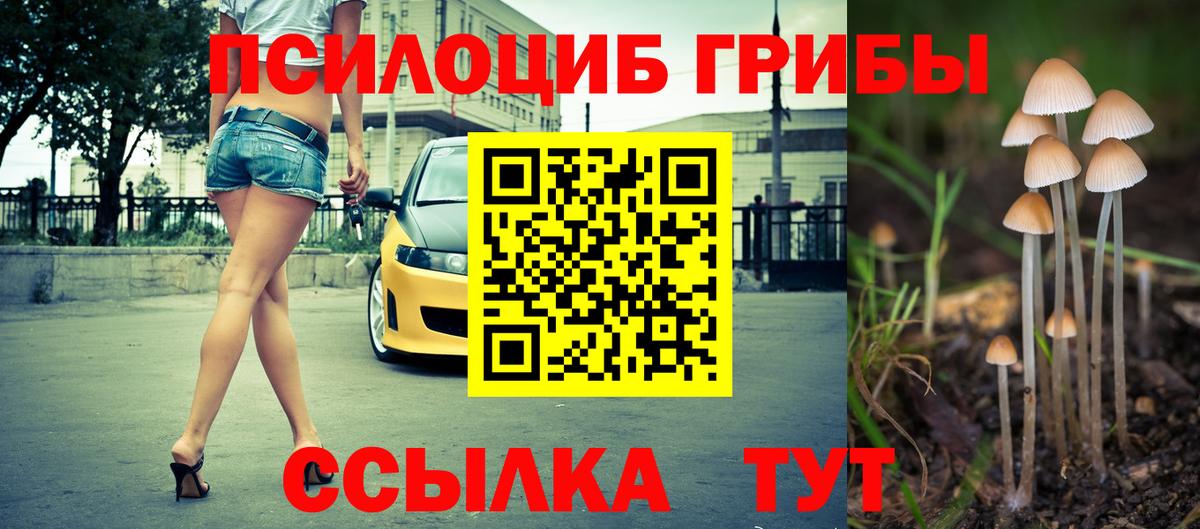 Клин  Псилоцибиновые грибы Magic Shrooms  Галлюциногенные грибы Psilocybine cubensis  Вход с VPN 